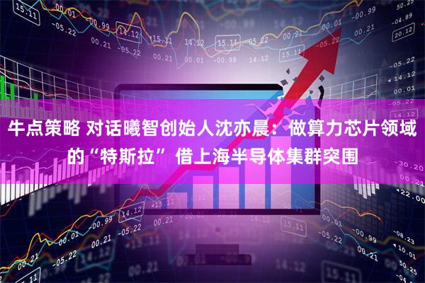 牛点策略 对话曦智创始人沈亦晨：做算力芯片领域的“特斯拉” 借上海半导体集群突围